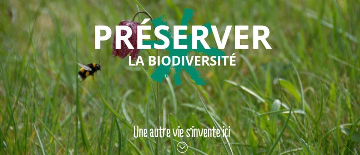 La biodiversité au service d’une expérience écotouristique dans les Parcs naturels
